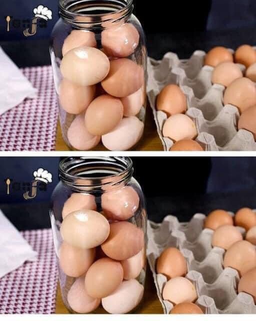 Como Guardar Ovos